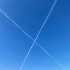 x marks the spot 