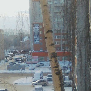 сумасшедший 