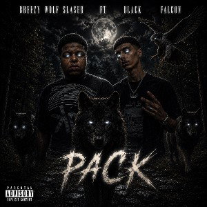 BREEZY WOLF SLASHER FT BLACK FAL