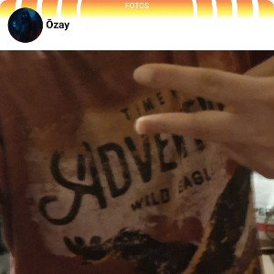 Özay Diss