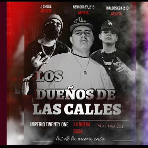 LOS DUEÑOS DE LA CALLE