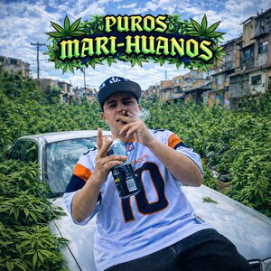 New Crazy - PUROS MARI-HUANOS