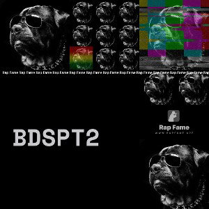 BDSPt2
