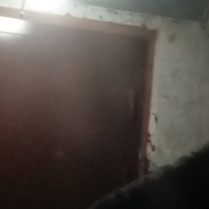входанет