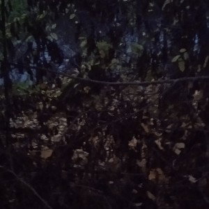 попытка