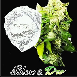 Vanilla GodZilla - Blow & Dro 🌬️&🪴 (Radio Single) #GodZillaENT 