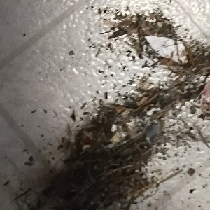 The One That Got Away (M2F)