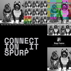 Connection 🔌🔌.ITSPURP
