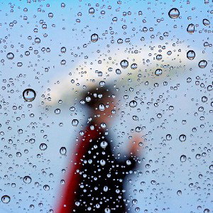 Blind