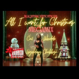BlaqIvy🦈 - All I want for Christmas 🎅🏾Megamix 🎅🏾