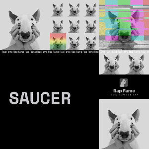Saucer