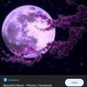 HOLLA AT THE MOON[I RULE]