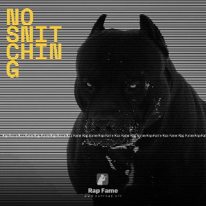 No Snitching 