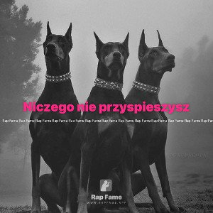 Niczego nie przyspieszysz