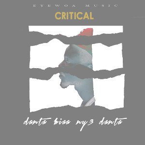 CRITICAL - DANTA BIAA NY3 DANTA 