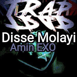 Disse Molayi