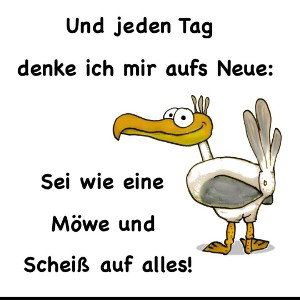 Chabo 7 Auet Will An Meinen Schwanz Ran 