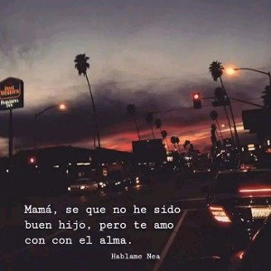 la calle mi escuela 
