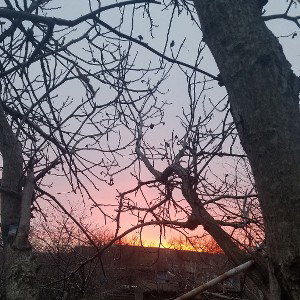 убийцы