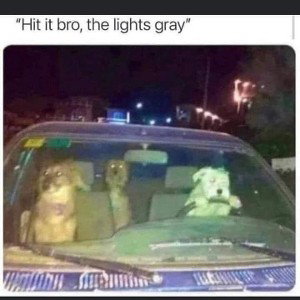 Down to Ride(NoRthside)