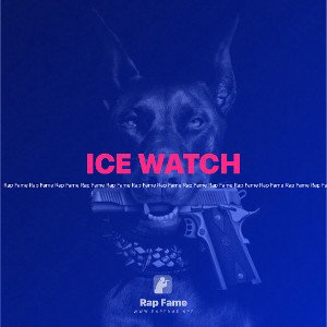 ICE WATCH 