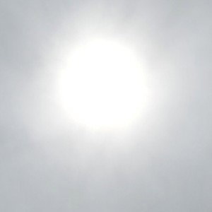 Gangsta_light__2024