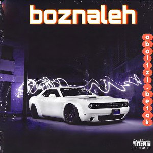 boznaleh 