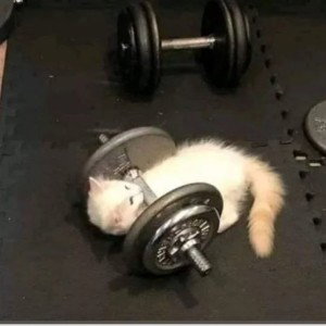                         gotta get it      