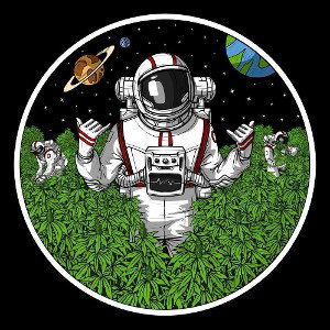 MØONGÄZÎNĞ