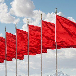 RED FLAGS BY BigMike