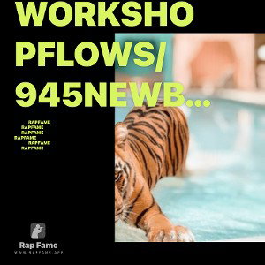 Workshopflows/945Newbie