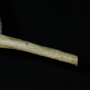 binmarley1113