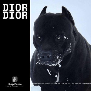 Dior Dior 