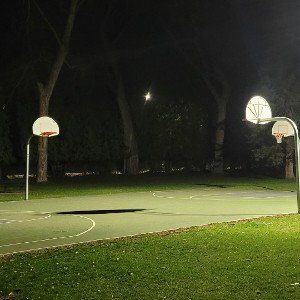 JUNGLE