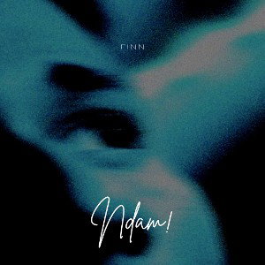 Finn - NDAM!