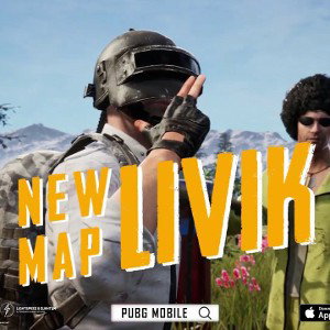Chicken Dinner Winner