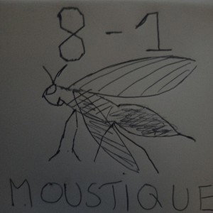 Moustique