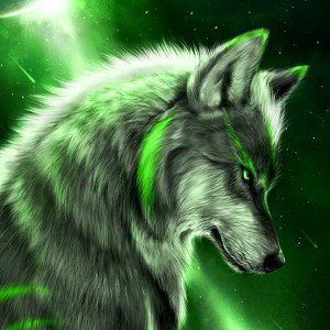 Wolves 