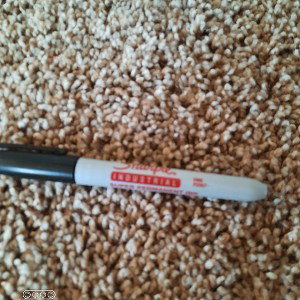 pick up the pen