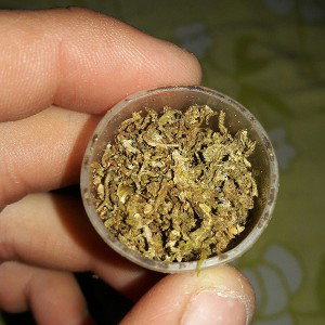 un poco de prueba