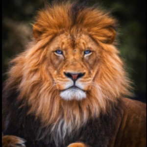 BEST NEW FUTURE HOTEST TRACK 2021 GRTL LUXURY KING GOLDEN FALSEA HIPHOP MUSIC BEATS BY DJ LEGACY GET 