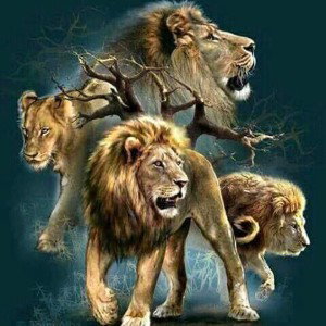 BEST NEW FAV FUTURE 2027 GRAND ROYAL TIGER LION LUX KING GFSFH BTLSEA HIPHOP MB BY DJ LEGACY GET 