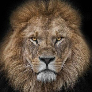 BEST NEW FAV FUTURE 2022/2025 GOLDEN ROYAL LUX FANCY RNF LKSA HIPHOP MB BY DJ LEGACY GET