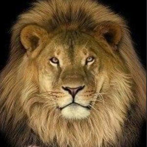 BEST NEW FAV FUTURE 2021/2022 MODERN HIPHOP GOLDEN LEGACY AWARD HIPHOP MB BY DJ LEGACY GET 
