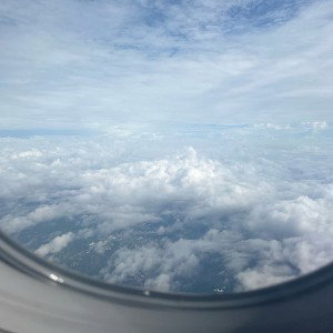 FLY AWAY