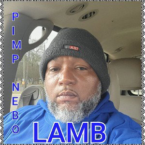 LAMB