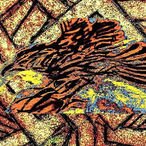 RAPCAT82 - Calm 2023-06-21 04_08