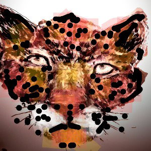 RAPCAT82 - No Loss 2023-04-24 11_02