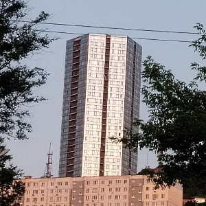 1 PARADAISE