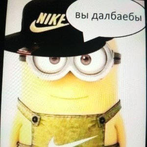 Не пиши в тг